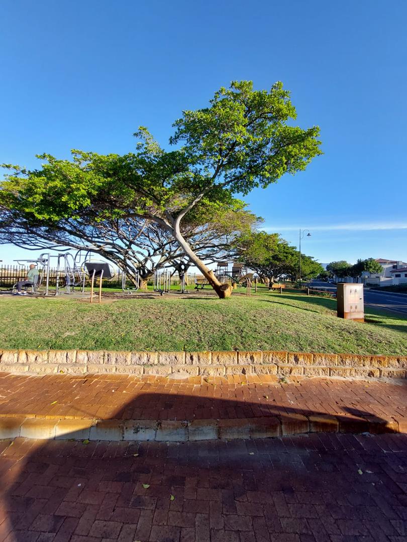 To Let 1 Bedroom Property for Rent in Royal Ascot Western Cape